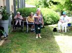 DSC07708-abb547