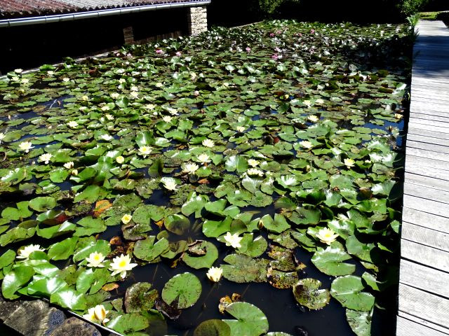 DSC01562