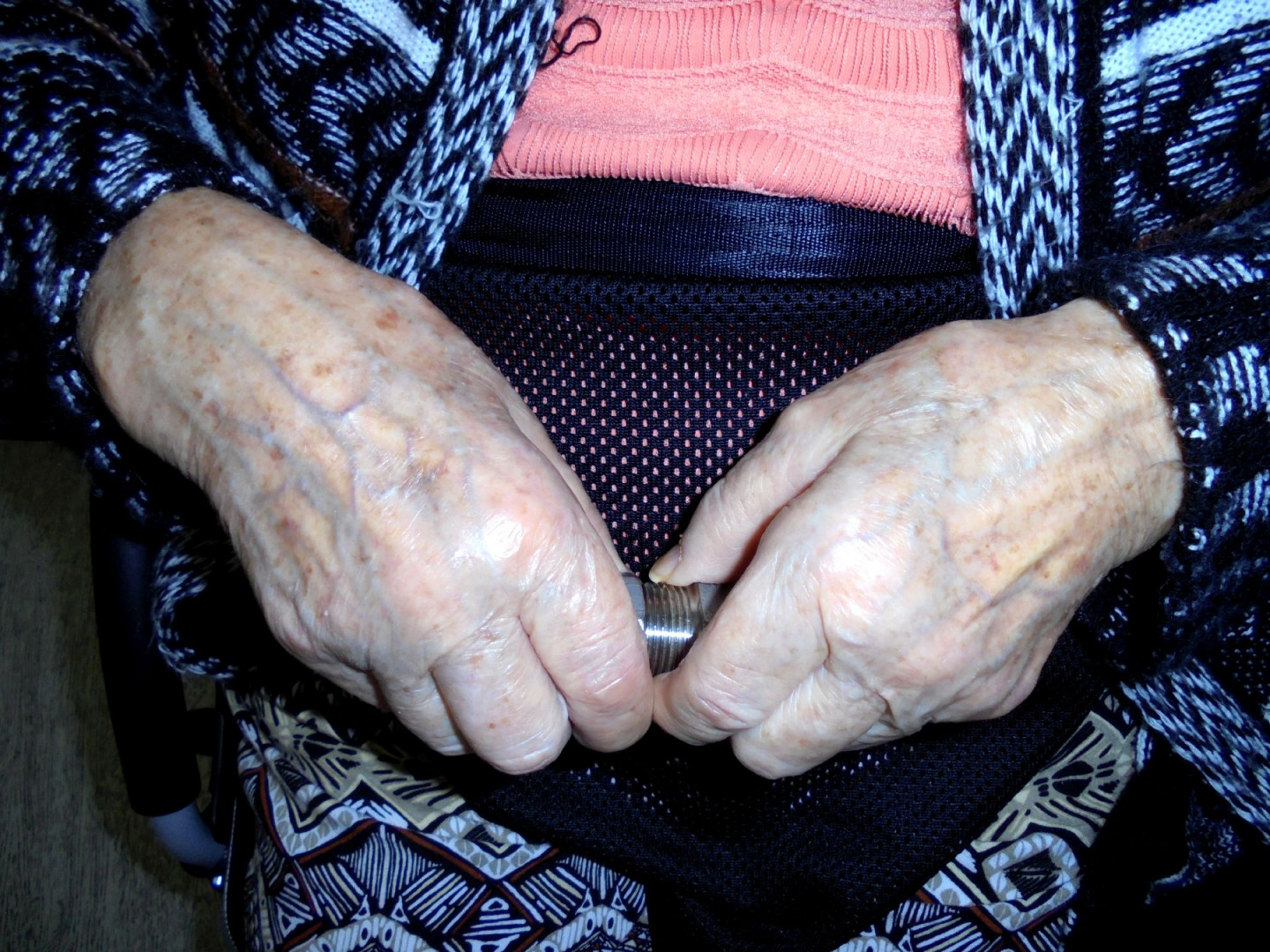 DSC02943