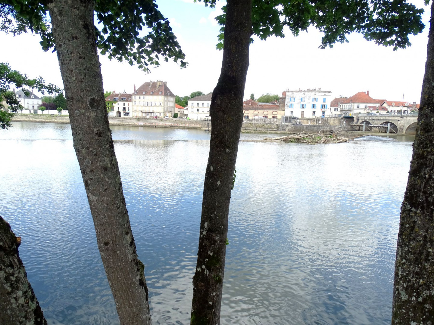 DSC08475
