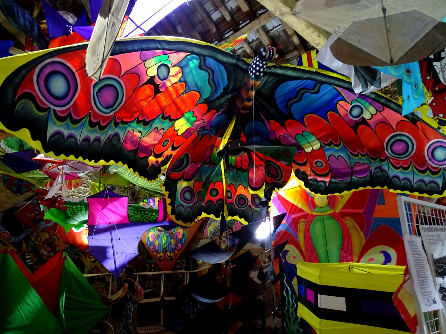 DSC09409