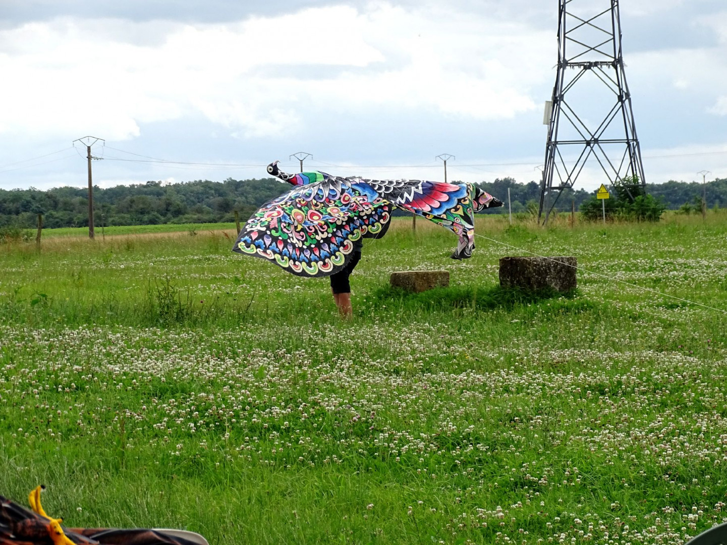 DSC09453