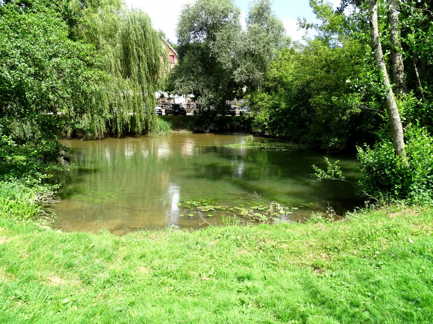 DSC09495