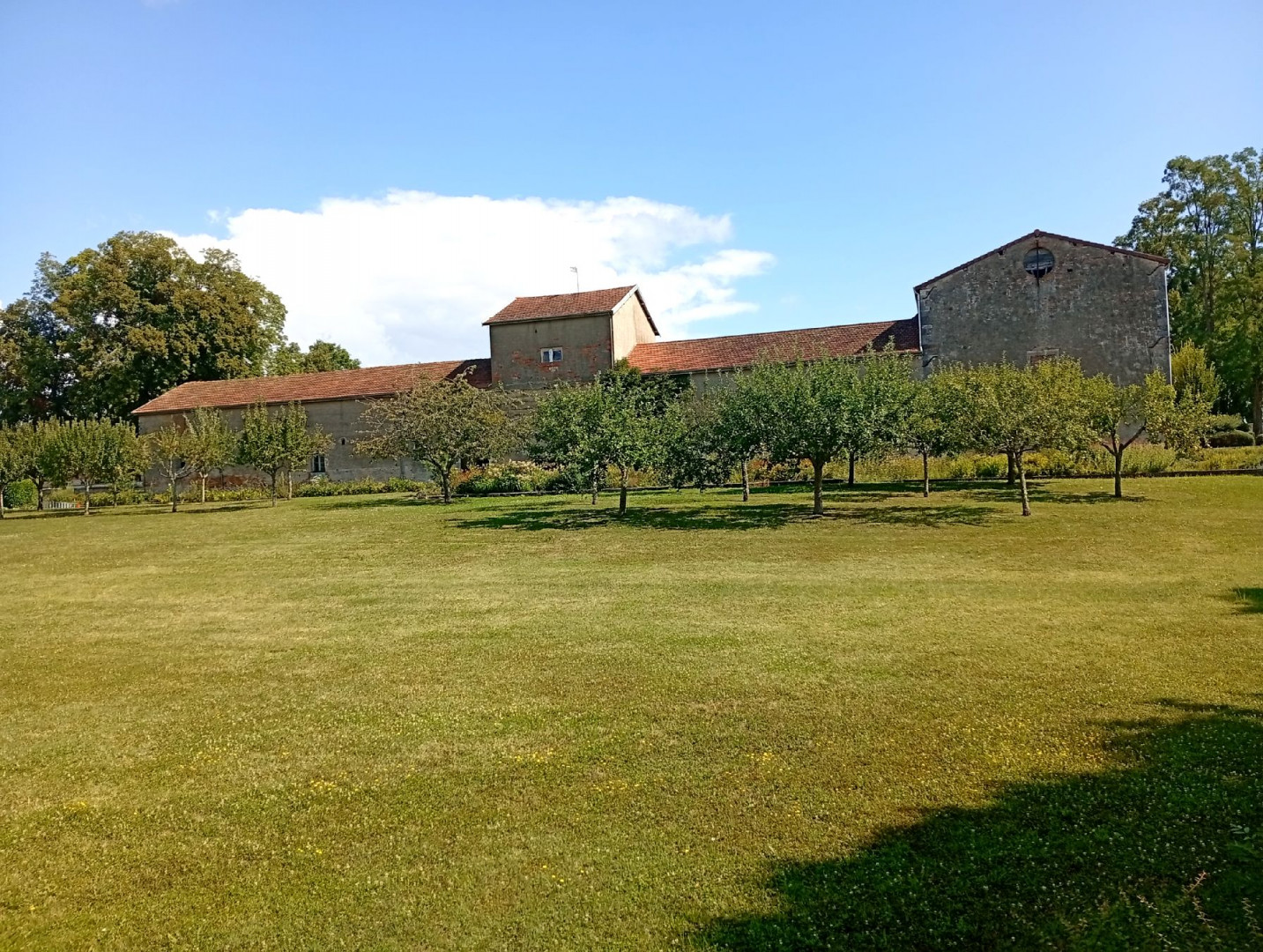 IMG_20250729_105708