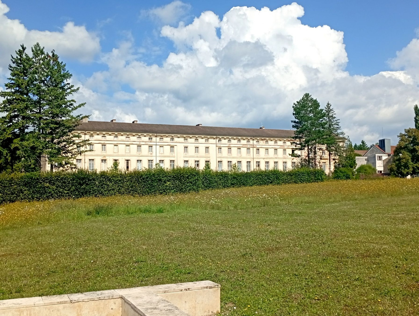 IMG_20250729_110353
